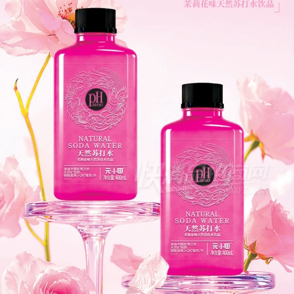 ԪС����Ȼ�մ�ˮ����ˮ400ml