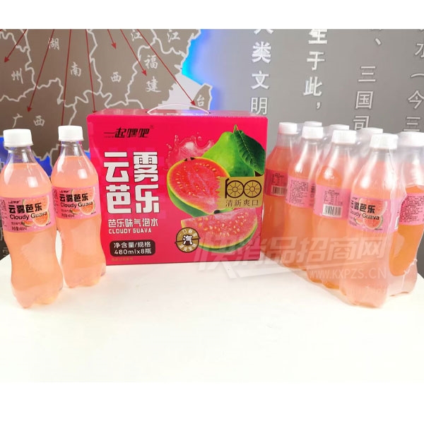 һ��ٰ�������������ˮ480mlX8ƿ