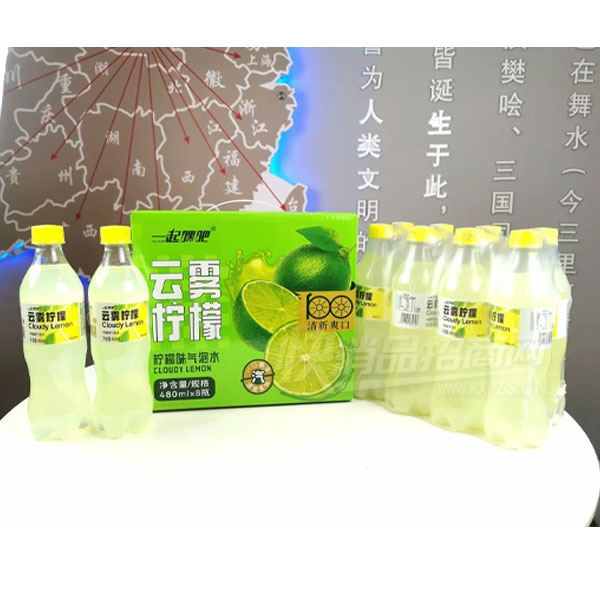 һ��ٰ�������������ˮ480mlX8ƿ