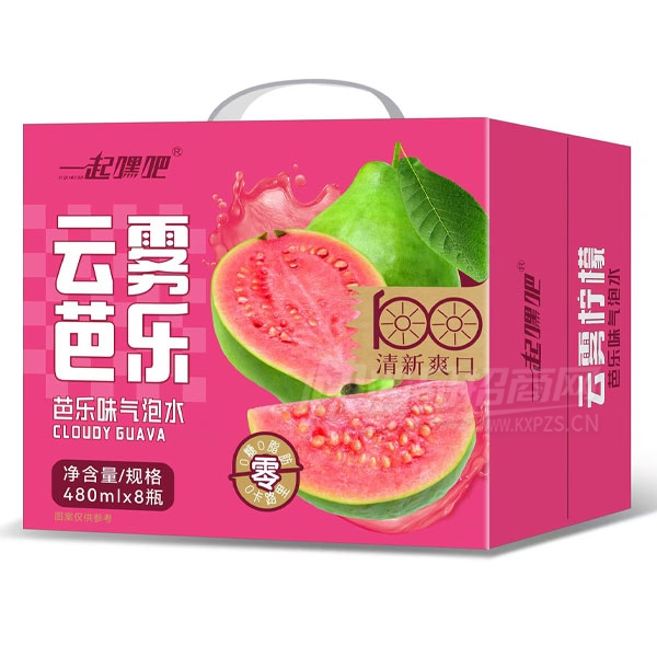 һ��ٰ�������������ˮ480mlX8ƿ����