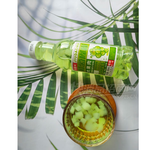 ����ľ���ѷ�ζҬ������֭����450ml����