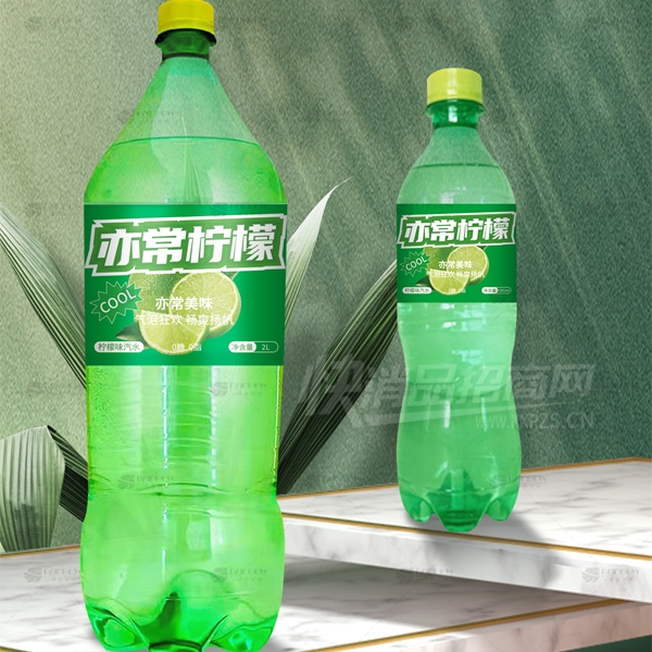 �ೣ��������ζ��ˮ2L