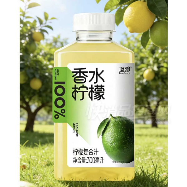 ������ˮ�������ʸ���֭��֭����300����