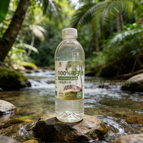 ����ԴҬ��ˮ��֭����1L