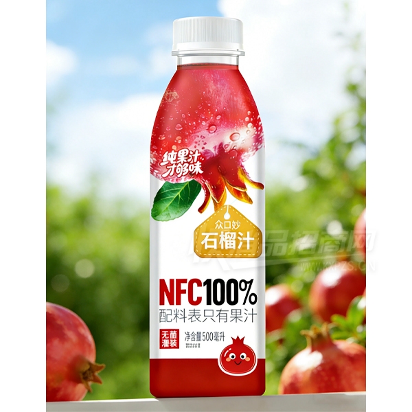 �ڿ���NFC��֭500mlʯ��֭