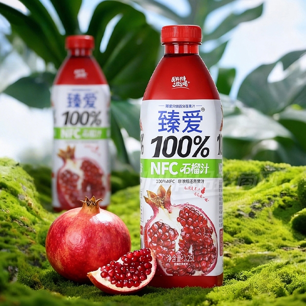 �����鰮nfc��֭����520mlʯ��֭