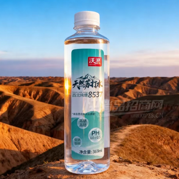 ������Ȼ�մ�ˮ����ˮ369ml