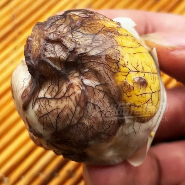 ���������Ӽ�������Ʒë��