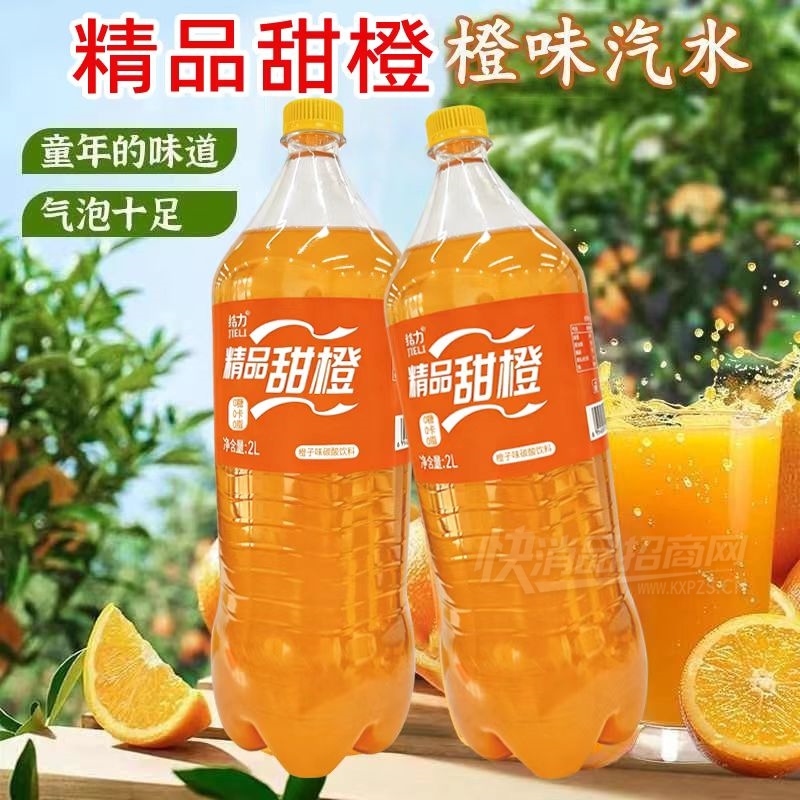 ������Ʒ���̼��������ˮ2L