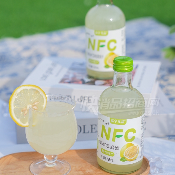 ������ƷNFC��֭����265ml˫��֭