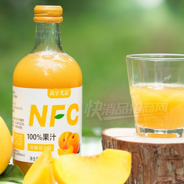 ������ƷNFC��֭���ϻ���֭265ml