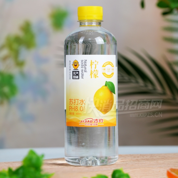 ���������մ�ˮ600ml