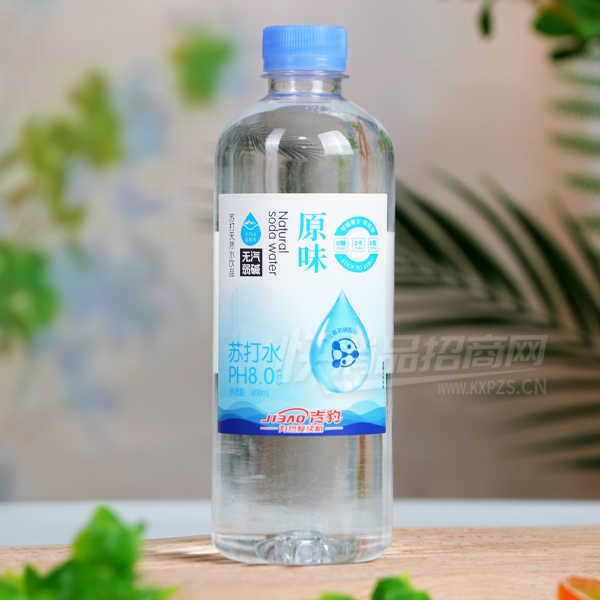 ����ԭζ�մ�ˮ600ml