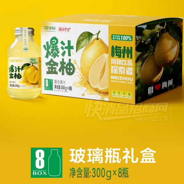 �����ϱ�֭���ָ��Ϲ�֭300g��8ƿ