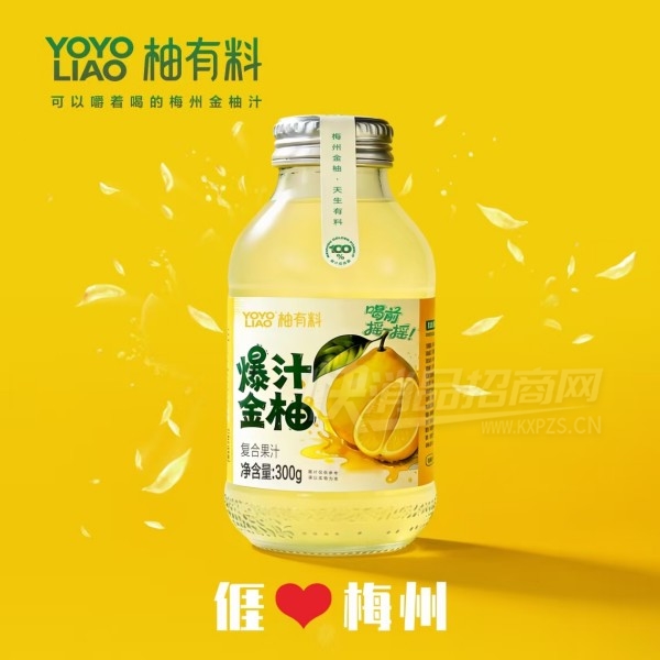 �����ϱ�֭���ָ��Ϲ�֭����