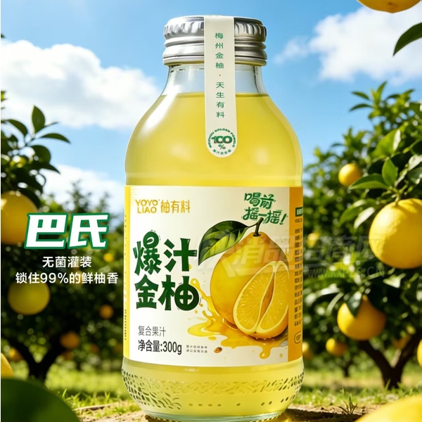 �����ϱ�֭���ָ��Ϲ�֭��������