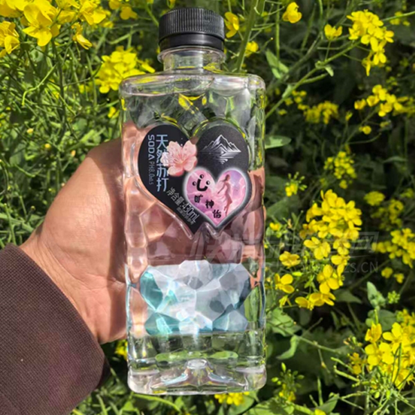 ����Ȥ�մ�ˮ��Ȼ�մ�430ml