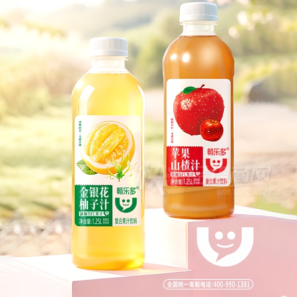 ���ֶ�ƻ��ɽ�֭����������֭��֭����1.25L