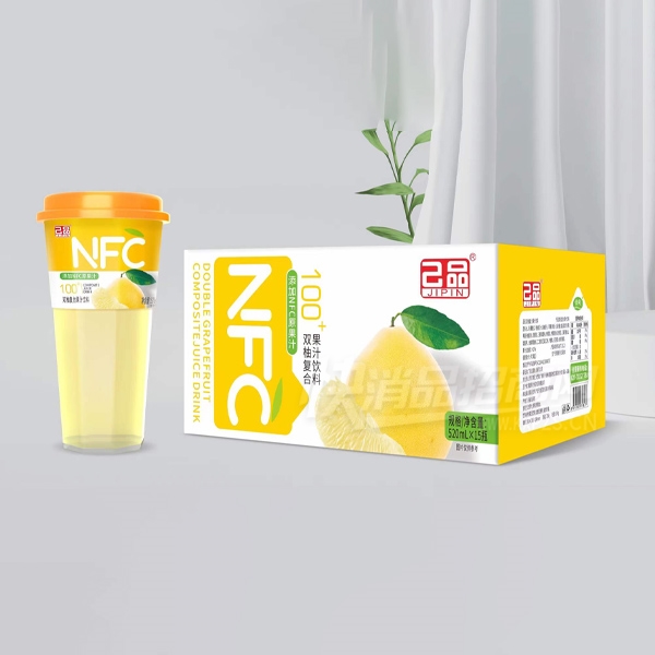 ��ƷNFC��֭����˫��֭520g��15