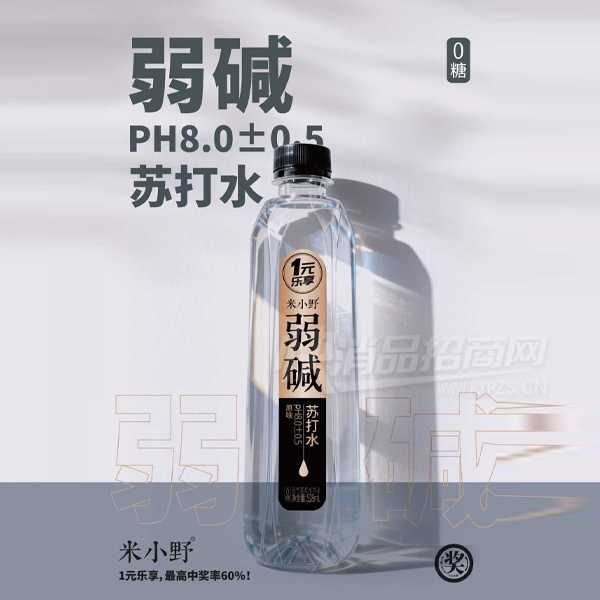 ��СҰ�����մ�ˮ����ˮ528ml