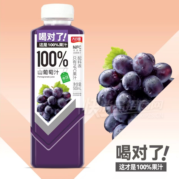 ���¶ɽ����֭���Ϲ�֭����500ml
