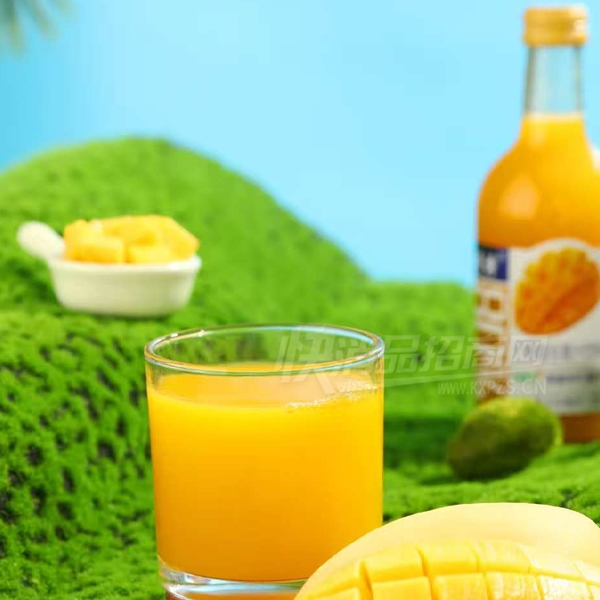 ����â�����Ϲ�֭����330ml����