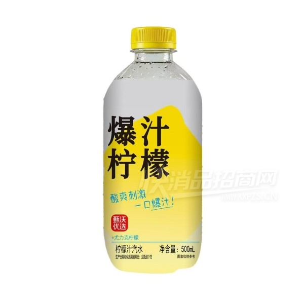 ������ѡ��֭����֭��ˮ500ml