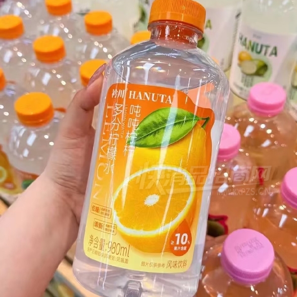 �洨�ֶֶ������ˮ980ml