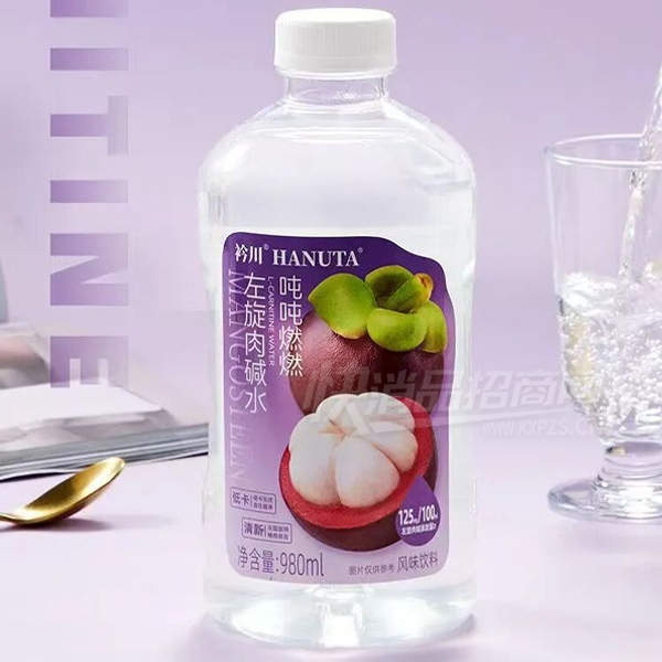 �洨�ֶ��������ˮ980ml