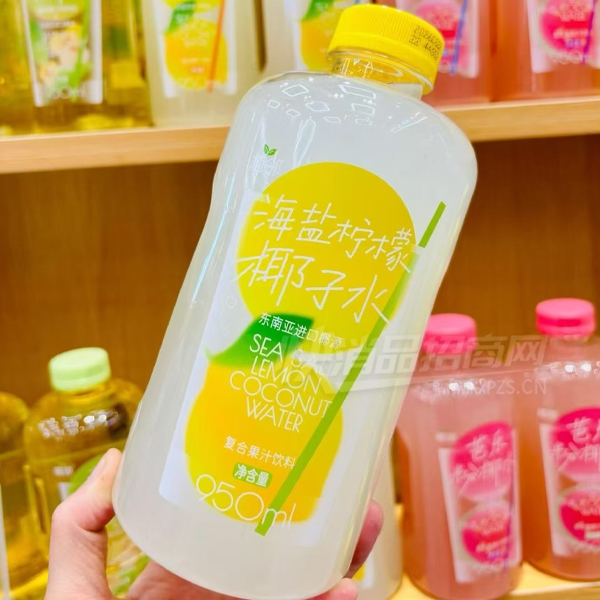 �ڿ��������Ҭ��ˮ���Ϲ�֭����950ml