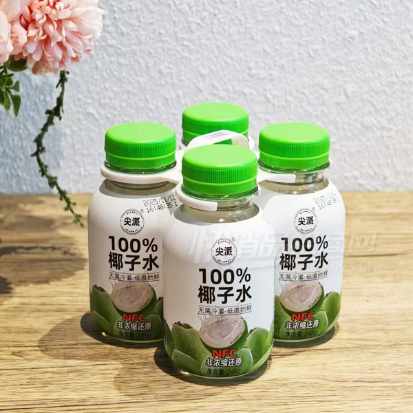 ����Ҭ��ˮ��֭����246g