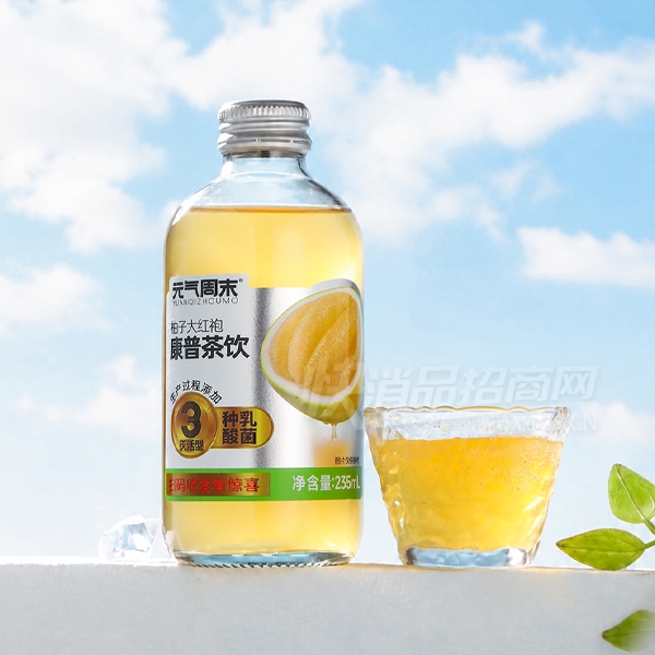 Ԫ����ĩ���ղ��������Ӵ����235ml