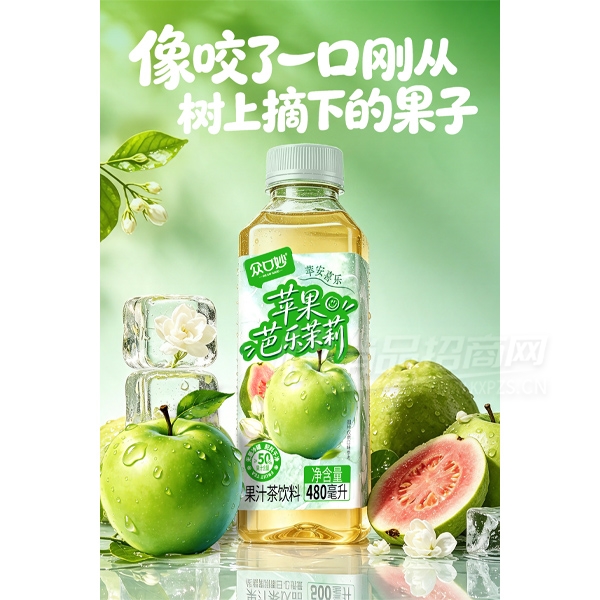 �ڿ���ƻ�����������֭������480ml