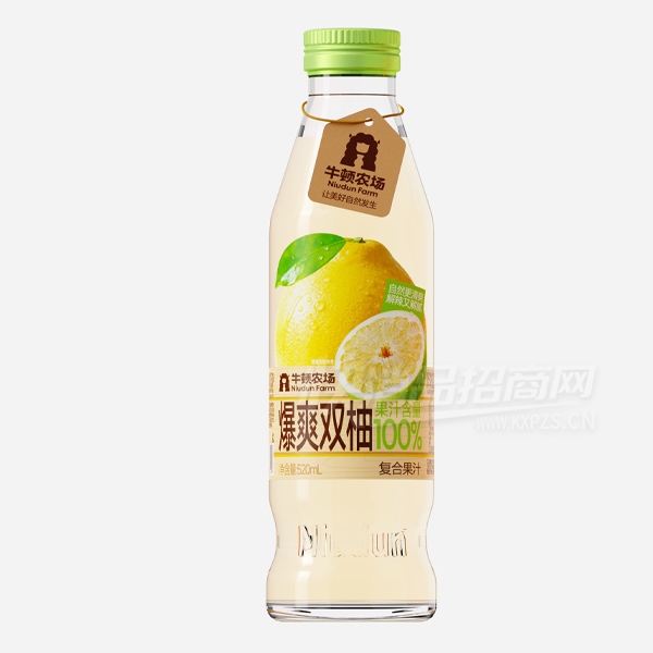 ţ��ũ�����Ϲ�֭��ˬ˫��֭520ml