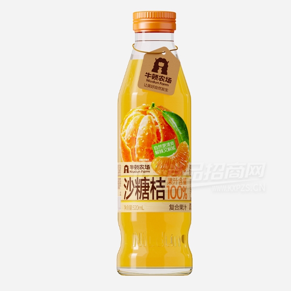 ţ��ũ�����Ϲ�֭ɳ�ǽ�֭520ml