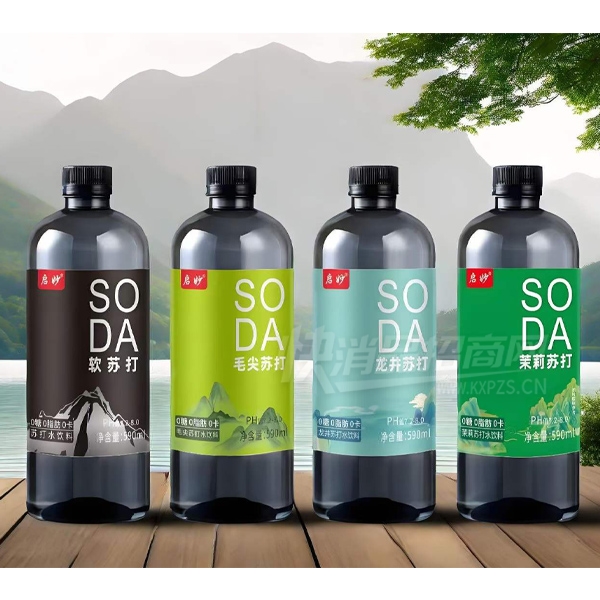 �����մ�ˮ����ˮ590ml