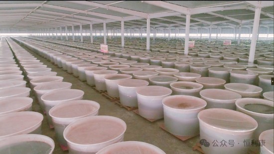 图片 26恒利康酵素饮料 图片 26恒利康酵素饮料