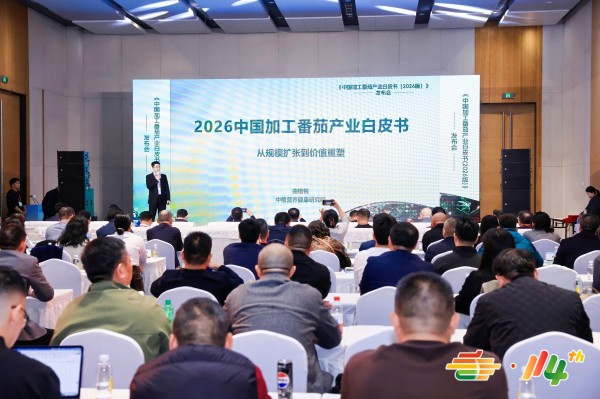 �������ӹ����Ѳ�ҵ��Ƥ�飨2026�棩��2