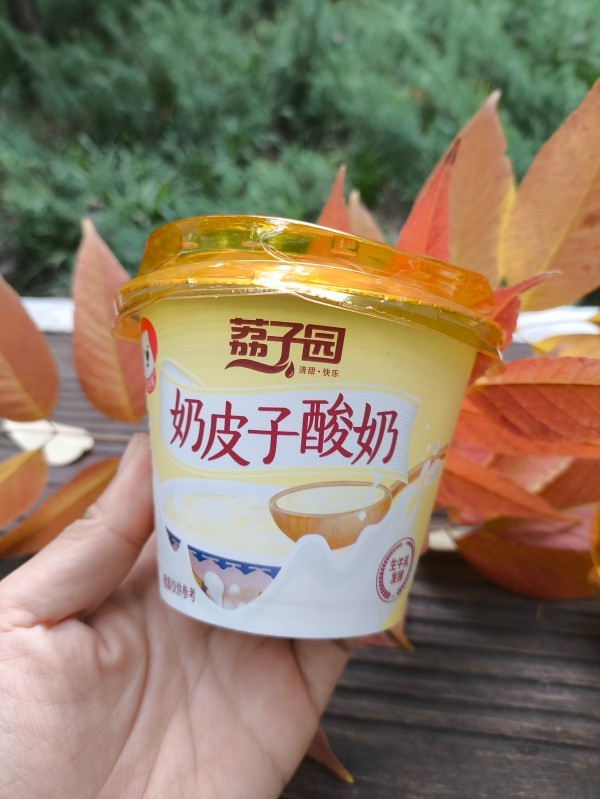 荔子园奶皮子酸奶 (1) 荔子园奶皮子酸奶 (1)