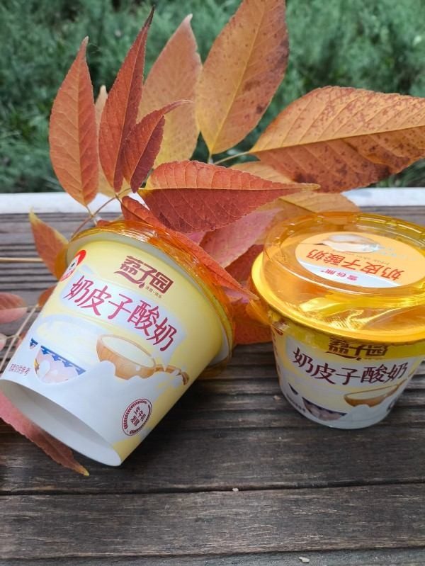 荔子园奶皮子酸奶 (3) 荔子园奶皮子酸奶 (3)